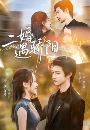 二婚遇骄阳(65集) 二婚遇骄阳(65集)熬夜追短剧