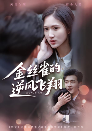 金丝雀的逆风飞翔(80集) 金丝雀的逆风飞翔(80集)热播短剧追不停