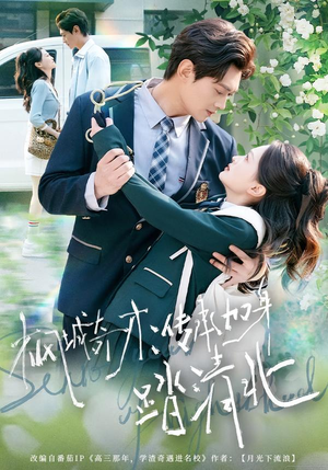 枫城奇才:传承加身踏清北(80集) 枫城奇才:传承加身踏清北(80集)短剧全集大结局