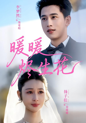 暖暖烬生花（65集）短剧热播中