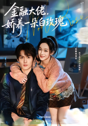 金融大佬，娇养一朵白玫瑰（70集）好看的短剧推荐