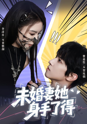 未婚妻她身手了得（50集）全季一次看完