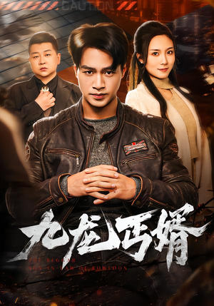 九龙丐婿(81集) 九龙丐婿(81集)无需会员免费看