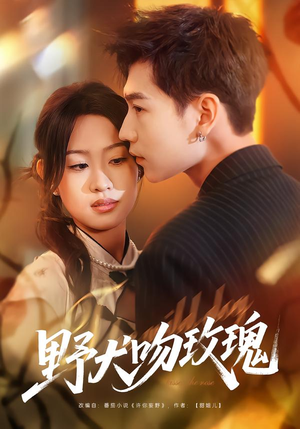 野犬吻玫瑰(70集) 野犬吻玫瑰(70集)高分佳作免费看