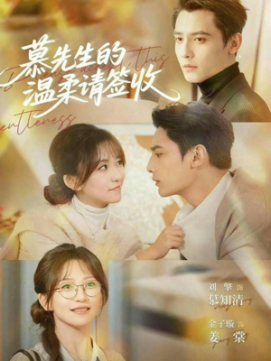 慕先生的温柔请签收（90集）全集一网打尽