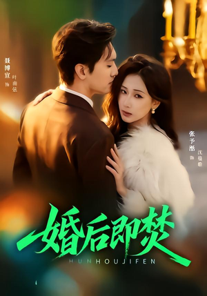 婚后即焚（77集）在线看完整版