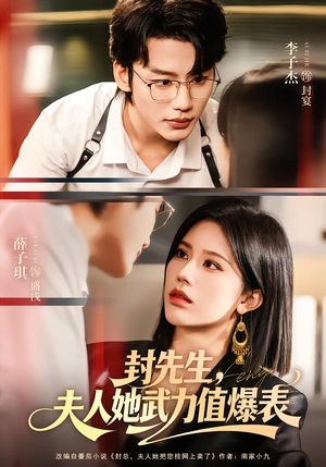 封先生，夫人她武力值爆表（70集）80到100集