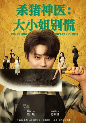 杀猪神医，大小姐别慌（80集）全集免费看短剧