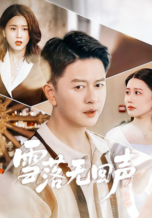 雪落无回声（60集）热门短剧推广