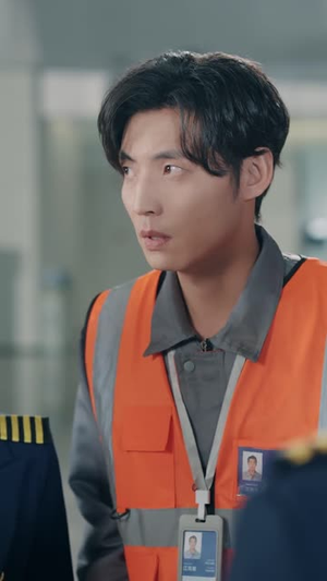 停飞后,我的航班坠毁了(100集) 停飞后,我的航班坠毁了(100集)爆款热门短剧