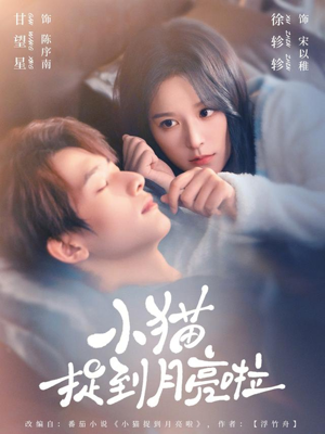 小猫捉到月亮啦（80集）剧情简介