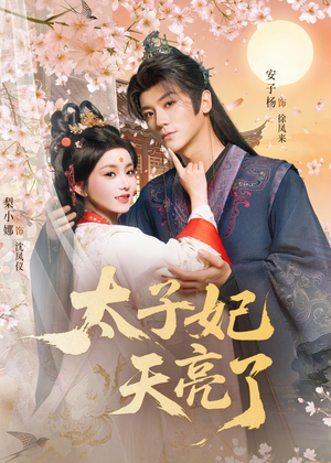 太子妃天亮了(80集) 太子妃天亮了(80集)短剧全集完整版