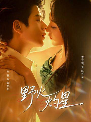 野火灼星（56集）在哪个平台看好