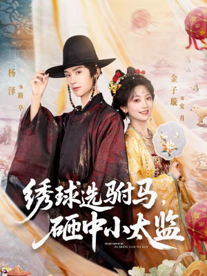 绣球选驸马，砸中小太监（81集）精彩不断免费看