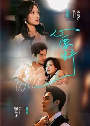 心要野（62集）短剧全集免费