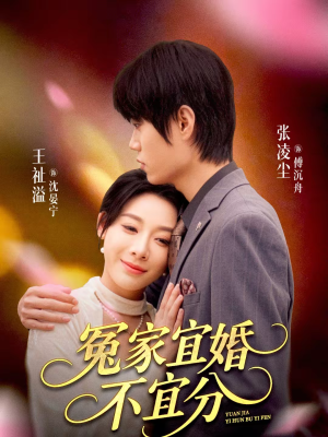 冤家宜婚不宜分（80集）全季一次看完