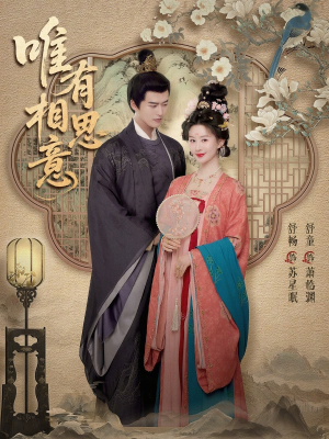 唯有相思意（100集）免费全集短剧