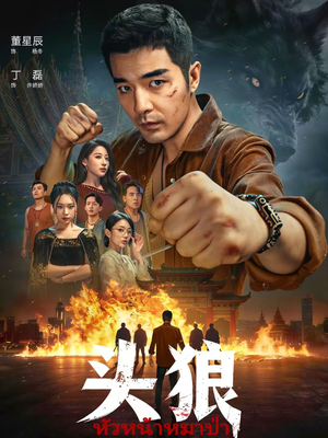 头狼（77集）短剧分享剧集