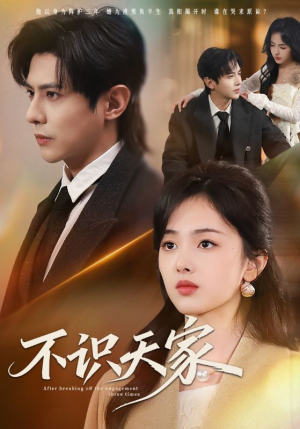 不识天家（69集）在线免费观影