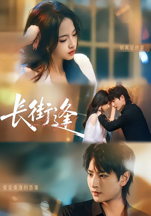 长街逢（61集）海量资源免费看