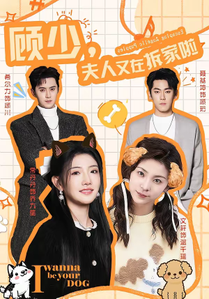 顾少，夫人又在拆家啦（78集）超火短剧抢先看