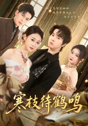 寒枝待鹤鸣（70集）独家内容免费看