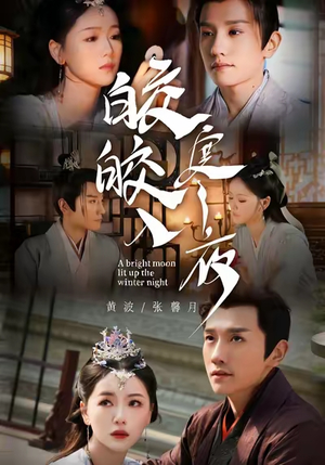 皎皎入寒夜（88集）集免费看短剧