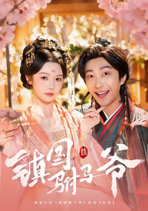 镇国驸马爷（92集）短剧解说全集