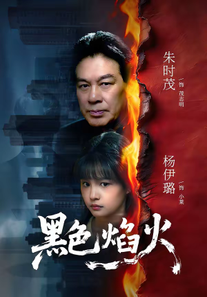 黑色焰火（41集）免费短剧大全