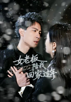 女老板陪我回家过年（40集）夸克网盘观看