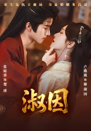 淑因（65集）迅雷网盘观看