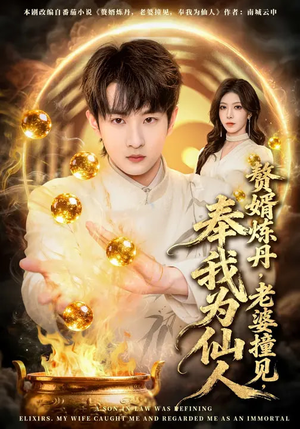 赘婿炼丹,老婆撞见,奉我为仙人(59集) 赘婿炼丹,老婆撞见,奉我为仙人(59集)在线看到大结局