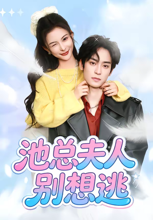 池总夫人别想逃（40集）好看吗