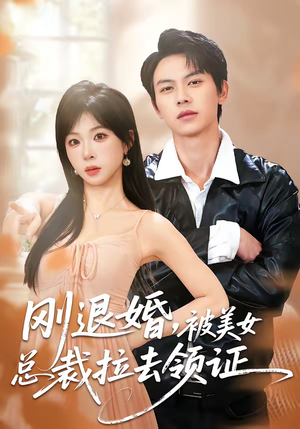 刚退婚，被美女总裁拉去领证（81集）短剧太好看