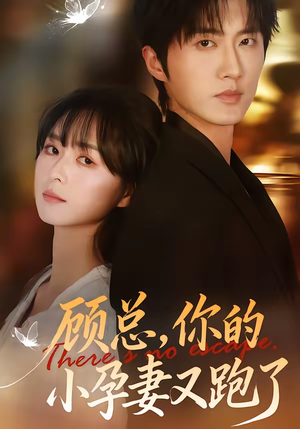 顾总，你的小孕妻又跑了（47集）最火爆的短剧