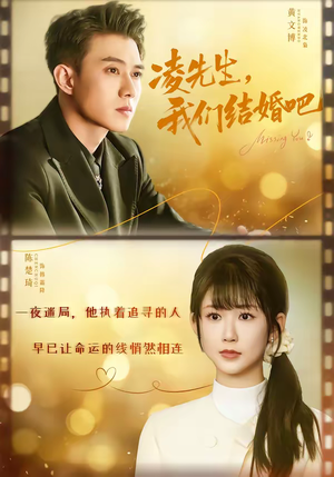 凌先生，我们结婚吧（68集）热门短剧抢先看