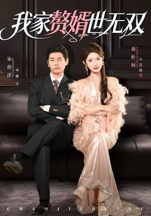 我家赘婿世无双（73集）短剧全集免费