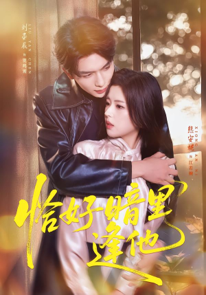 恰好暗里逢他（66集）太好看了短剧