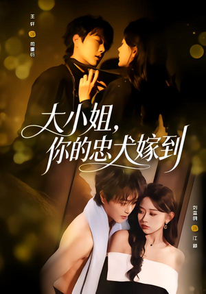 大小姐，你的忠犬嫁到（80集）哪个短剧网能看