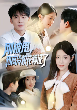 刚被甩，和高冷校花领证了（67集）好看短剧抢先看