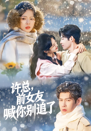 许总，前女友喊你别追了（80集）好看的短剧电影