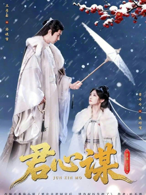 君心谋(80集) 君心谋(80集)全集下载
