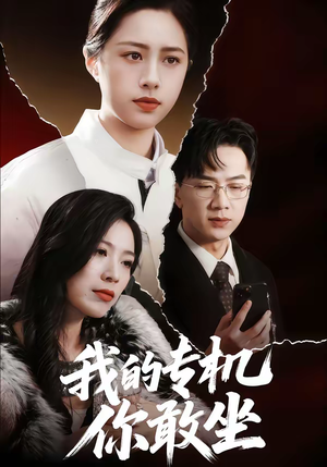 我的专机你敢坐（62集）短剧爆款推荐