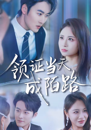 领证当天成陌路（39集）热门短剧免费看