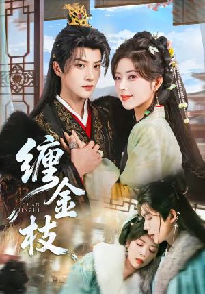 缠金枝（69集）在线观看完整版