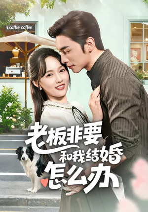 老板非要和我结婚怎么办（50集）好看的短剧来了