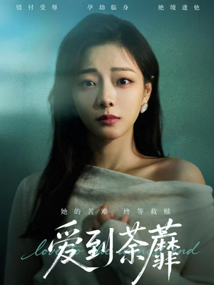 爱到荼蘼（63集）全网独播免费看