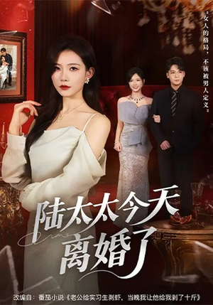 陆太太今天离婚了（59集）女主谁演的