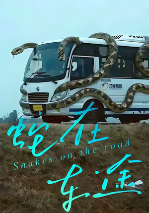 蛇在车途（34集）热门短剧推荐。