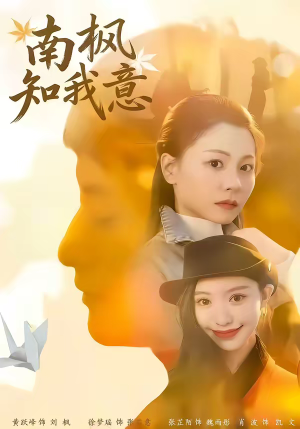 南枫知我意（41集）火爆短剧推荐